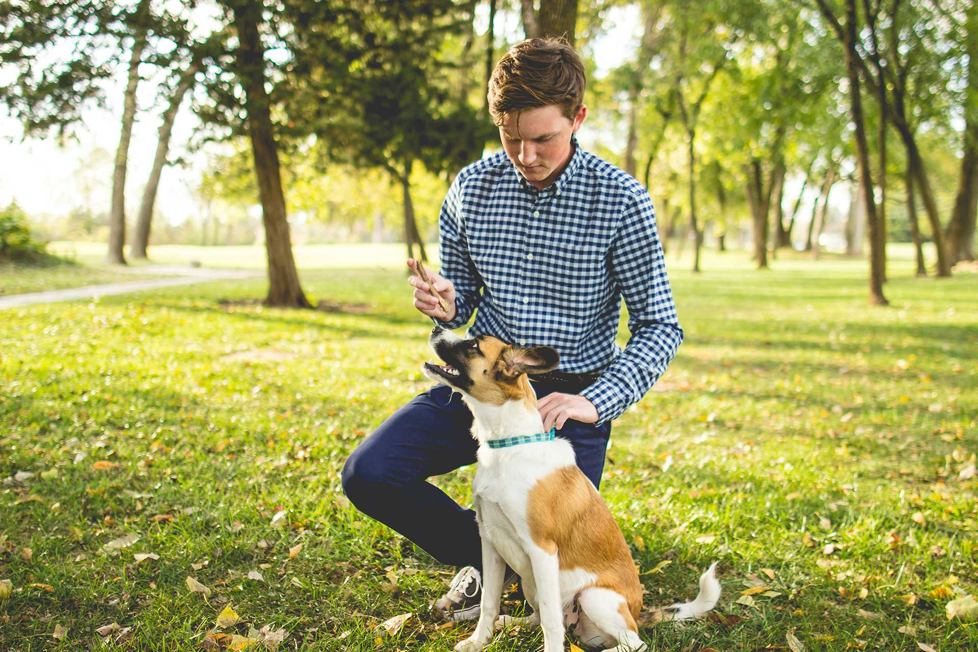 man holding stick in front of a dog